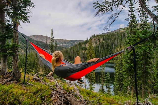 Immersed in Tranquility: Embracing Nature’s Beauty from the Hammock Haven Immersed in Tranquility: Embracing Nature’s Beauty from the Hammock Haven
