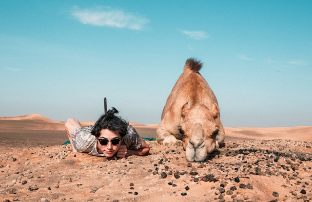 Resting in the Sands: Man and Camel under desert skies Resting in the Sands: Man and Camel under desert skies